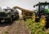 What New Farmers Need to Know Before Getting Started New Farmers